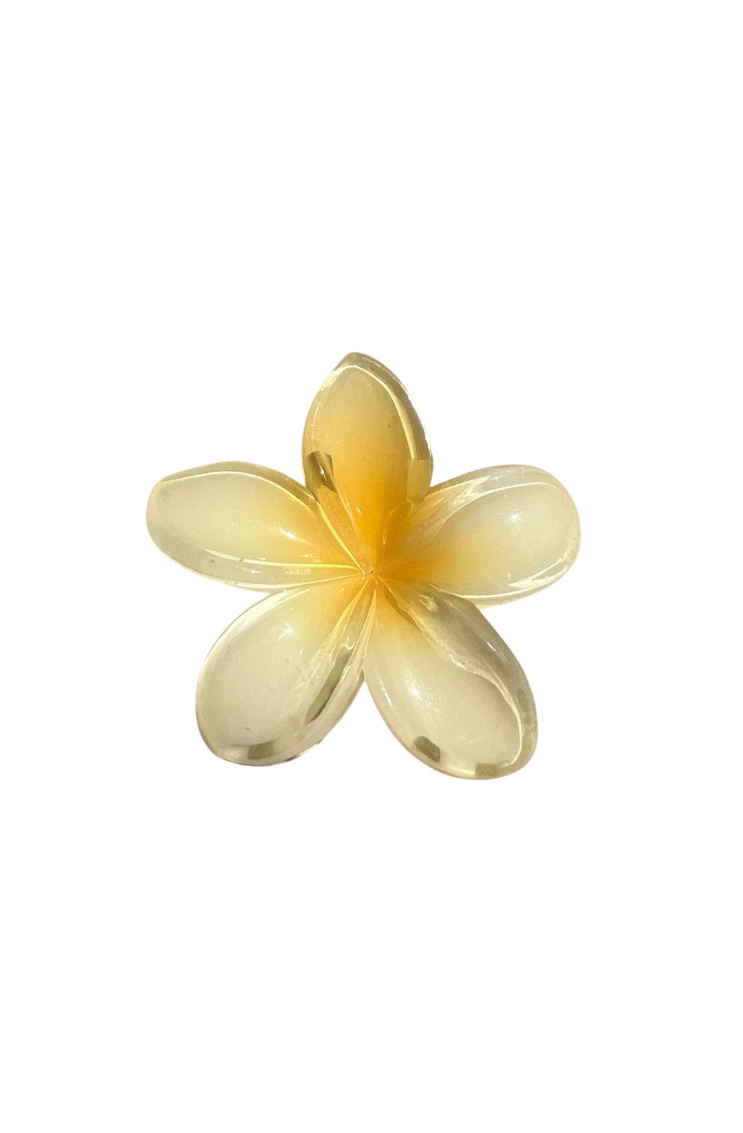 In Bloom Claw - Yellow
Twist, style, claw it…wear your’s anyway, everyday.
This claw clip is suitable for both dry and wet hair application.


Acrylic


Daisy Lily signature satin pouch wDaisy Lily