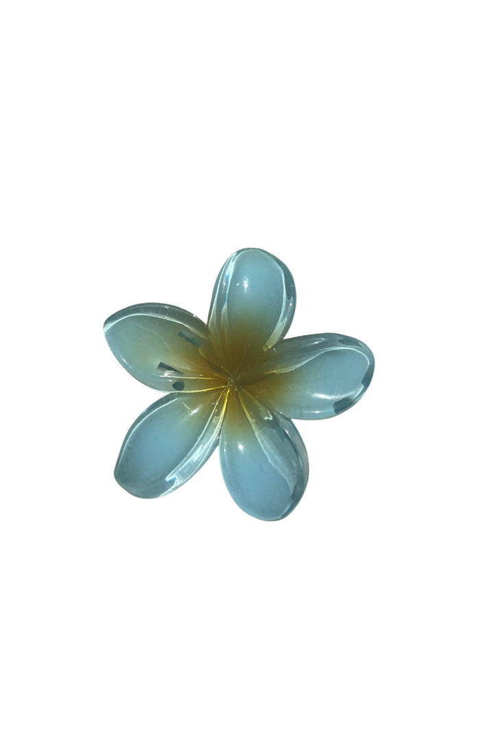 In Bloom Claw - Blue
Twist, style, claw it…wear your’s anyway, everyday.
This claw clip is suitable for both dry and wet hair application.


Acrylic


Daisy Lily signature satin pouch wDaisy Lily